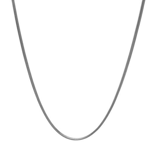 Silver Snake Chain